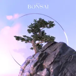Bonsai (Vip Mix) Song Lyrics