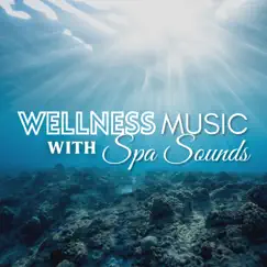 Wellness Music with Nature Sounds - Beauty Center & Spa Background Tracks by Nature Caldwell album reviews, ratings, credits