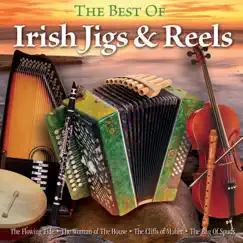 The Best of Irish Jigs & Reels by Various Artists album reviews, ratings, credits