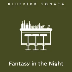 Fantasy in the Night by Bluebird Sonata album reviews, ratings, credits