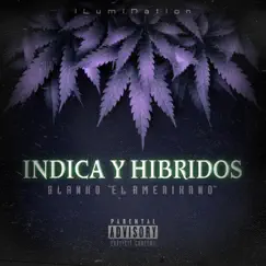 Indica Y Hibridos - Single by Blanko 