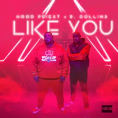 LIKE YOU (feat. R Collins & Simply Dre) - Single by Hood Priest album reviews, ratings, credits
