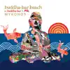 Buddha Bar Beach - Mykonos (by FG) album lyrics, reviews, download