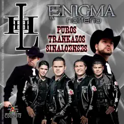 Puros Trankasos Sinaloenses by Los Hijos De Hernández & Enigma Norteño album reviews, ratings, credits