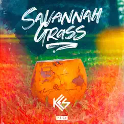 Savannah Grass - Single by Kes album reviews, ratings, credits