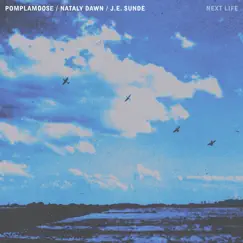 Next Life - Single by Nataly Dawn, Pomplamoose & J.E. Sunde album reviews, ratings, credits