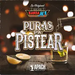 Pura Pa Pistear - Single by Banda M-1 album reviews, ratings, credits