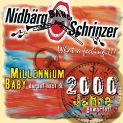 Millenium Baby - What a feeling - darauf hast du 2000 Jahre gewartet by Nidbärgschrinzer Mels album reviews, ratings, credits