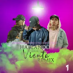 Hablando con el viento (Remix) - Single by Nuco, TM Zaiko & Sandro Malandro album reviews, ratings, credits