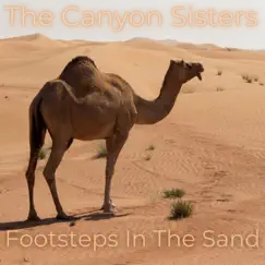 Footsteps in the sand (Trapito Beat) Song Lyrics