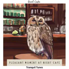 Pleasant Moment at Night Cafe - Tranquil Tunes by Owl Cafe album reviews, ratings, credits