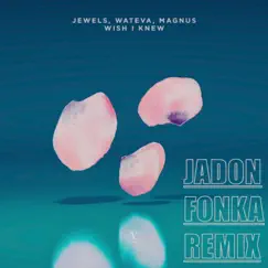 Wish I Knew (feat. Jewels & WATEVA) - Single by Jadon Fonka album reviews, ratings, credits