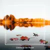 Leaves in the Water - Single album lyrics, reviews, download