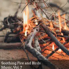 Cozy Winter Fire Song Lyrics