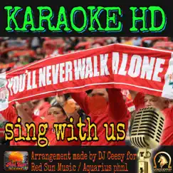 You'll Never Walk Alone (2022 remastered & remixed - Karaoke Version) - Single by DJ Ceesy album reviews, ratings, credits