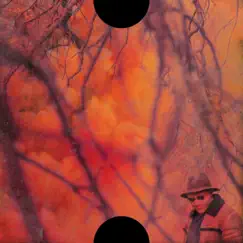 Blank Face LP by ScHoolboy Q album reviews, ratings, credits