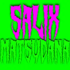 Thc - Single by SALIX MATSUDANA album reviews, ratings, credits