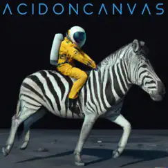 Acid on Canvas - Single by Das Space album reviews, ratings, credits