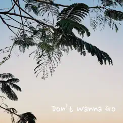 Don’t Wanna Go Song Lyrics