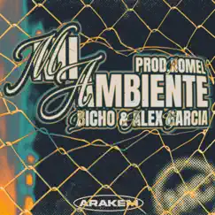Mi Ambiente (feat. Bicho & AlexGarcíaMusic) Song Lyrics