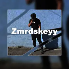 Trním Musíš Projít (feat. Naike) - Single by Zmrdskeyy album reviews, ratings, credits