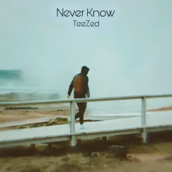 Never Know Song Lyrics