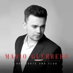 Hoy Corté una Flor - Single by Mario Guerrero album reviews, ratings, credits
