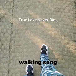 True Love Never Dies Song Lyrics