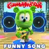 Funny Song - Single album lyrics, reviews, download