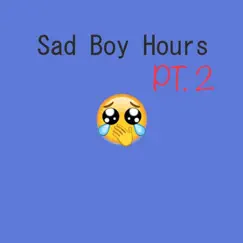 Sad Boy Hours, Pt. 2 (feat. Whiteboicami) - Single by Internet Trapperz album reviews, ratings, credits