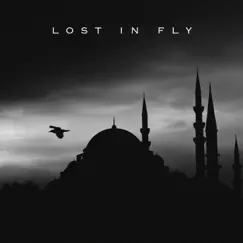 Lost in Fly - Single by Lofi Paradise, Ergonomic Lofi & Bass Boosted album reviews, ratings, credits