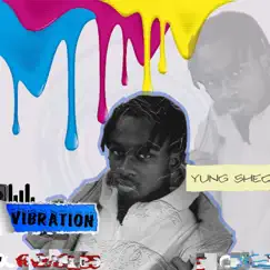 Vibration - Single by Yung Sheqz album reviews, ratings, credits