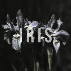Iris - Single by Jake Jalone album reviews, ratings, credits