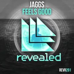 Feels Good - Single by Jaggs album reviews, ratings, credits
