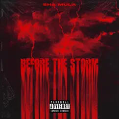 Before the Storm by Sha Mula album reviews, ratings, credits
