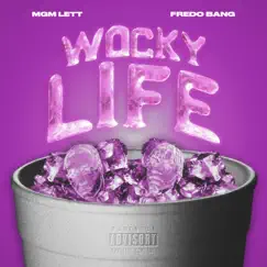Wocky Life (feat. Fredo Bang) Song Lyrics
