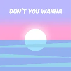 Don't You Wanna by Zaracz album reviews, ratings, credits