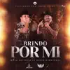 Brindo Por Mi - Single album lyrics, reviews, download