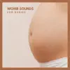 Womb Sounds for Babies album lyrics, reviews, download