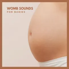 Womb Sounds for Babies by Background Noise from Traxlab album reviews, ratings, credits