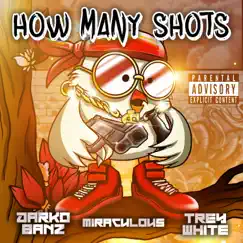 How Many Shots (feat. Darko Banz & Trey White) - Single by Miraculous album reviews, ratings, credits