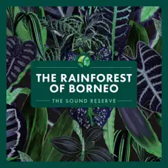 The Rainforest of Borneo by The Sound Reserve album reviews, ratings, credits