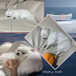 Collection Of Sweet Sleep Lullaby Music That Doggies Like 2 by Relaxing Mode album reviews, ratings, credits