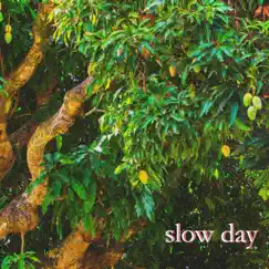 Slow Day - Single by Maplewood album reviews, ratings, credits