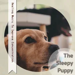 Healing Music To Improve Concentration by The Sleepy Puppy album reviews, ratings, credits