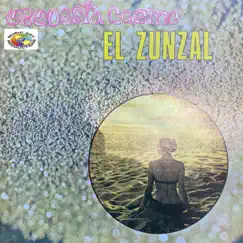 El Zunzal by Conjunto Casino album reviews, ratings, credits