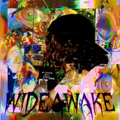 Wide Awake!!! by Seeking bust album reviews, ratings, credits