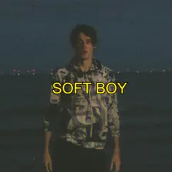 Soft Boy - Single by Wilbur Soot album reviews, ratings, credits
