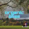 Organic Bliss - Single album lyrics, reviews, download