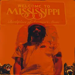 Mississippi Topdog by Daystarr album reviews, ratings, credits